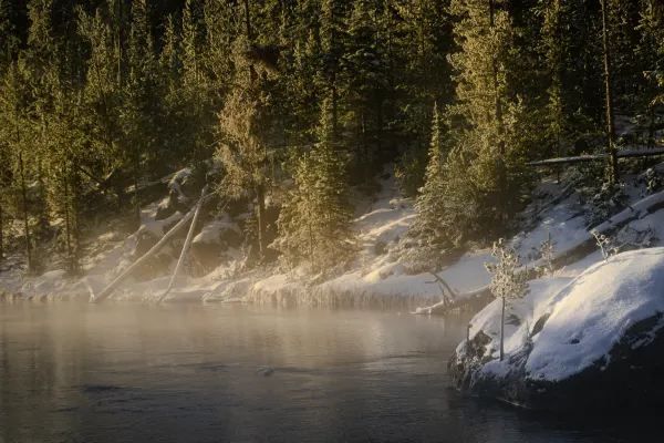 Winter in Yellowstone is also beautiful