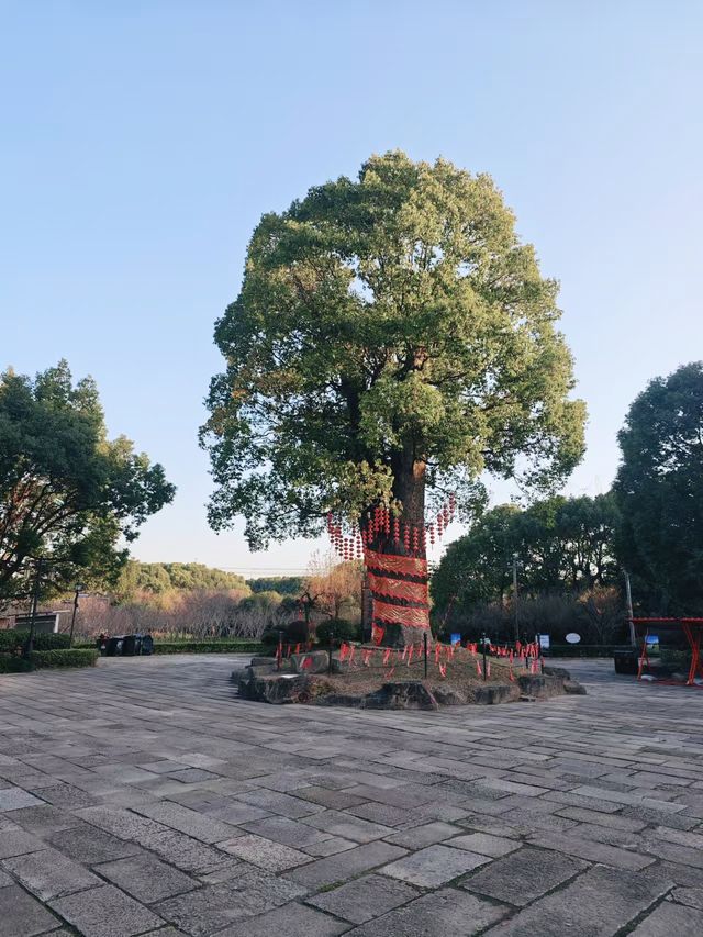 冬季的韓湘水博園