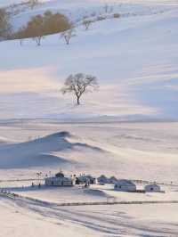 人生建議：冬天務必帶娃去趟烏蘭布統玩雪