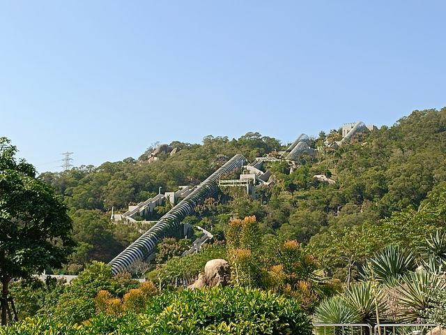 廈門植物園遊玩攻略