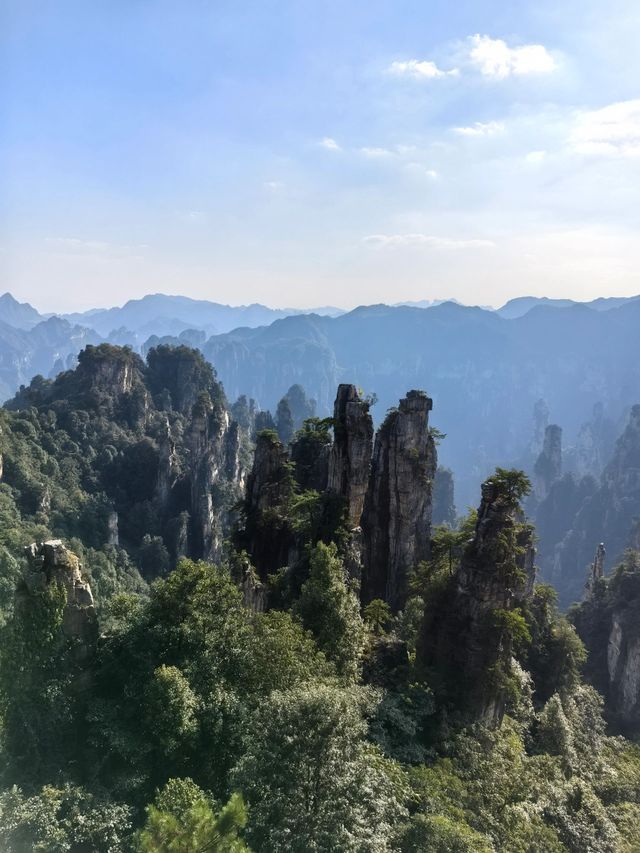 張家界-大峽谷-天門山｜長者遊玩的合適選擇