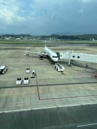 【搭乗レポ】台北行くならこれ！最新台湾の飛行機スターラックス航空が最高すぎた