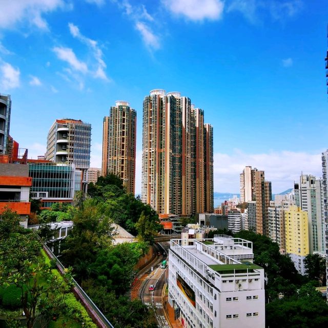 香港大學•龍虎山•太平山頂