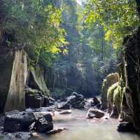 The soothing nature and waterfalls of Bali 