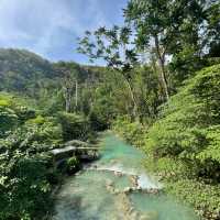 Kawasan Falls! 