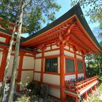 淡嶋神社 加太景點 和歌山推薦