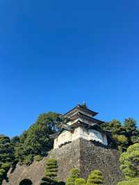 【東京】皇居：免費參觀，可順道參觀東御苑🏖️🔥