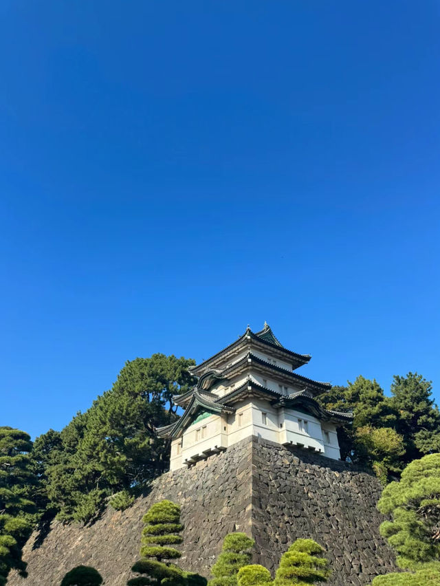 【東京】皇居：免費參觀，可順道參觀東御苑🏖️🔥