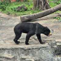 廣州動物園