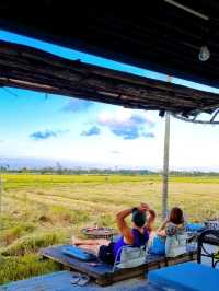 MUST VISIT CAFE AMIDST PADDY FIELD IN HOI AN