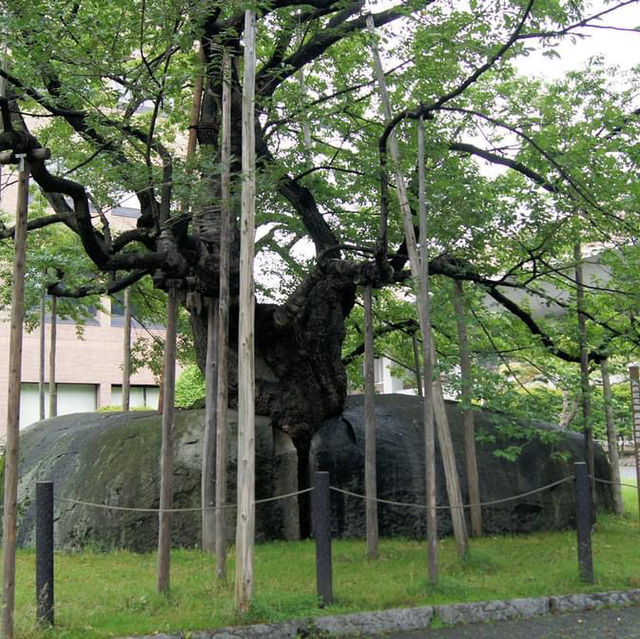 盛岡城跡