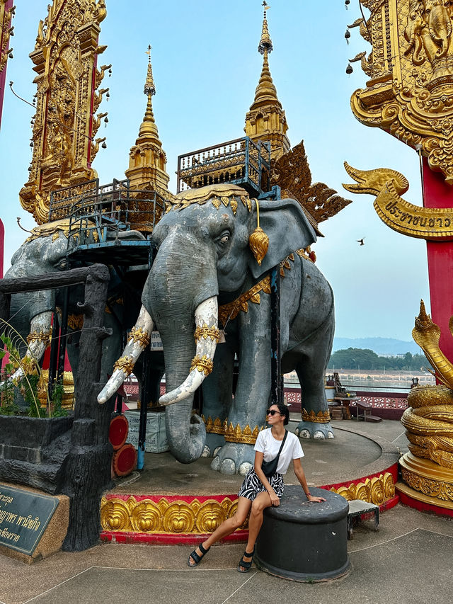 Thailand’s Golden Triangle Adventure