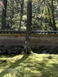 Kyoto｜ Saihōji (Kokedera) Temple, the hidden place of Kyoto