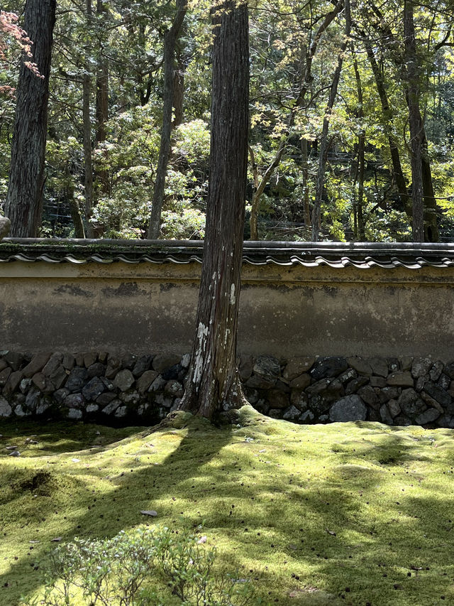 Kyoto｜ Saihōji (Kokedera) Temple, the hidden place of Kyoto