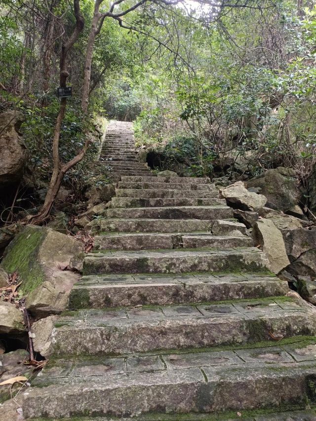 東莞市大嶺山森林公園白石山景區