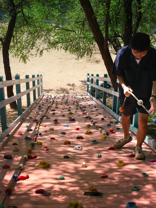 鄭州千畝森林下的兒童遊樂園真的太太好玩了。