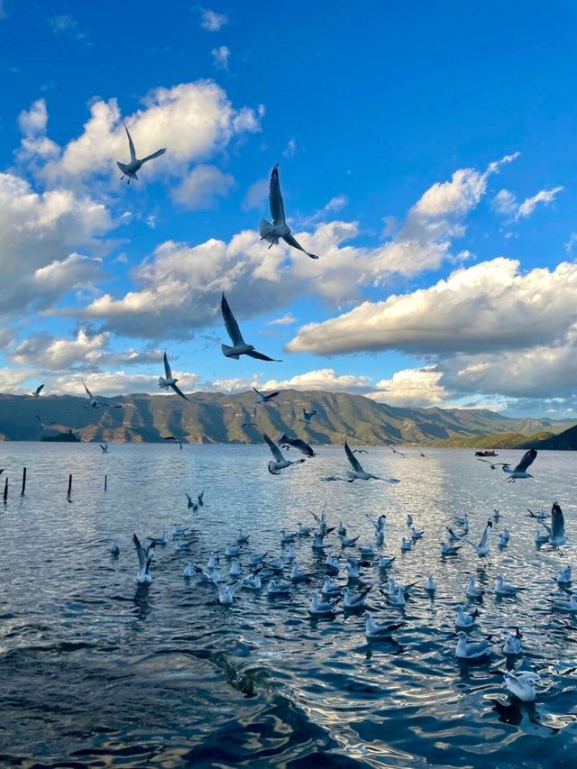 10月31日瀘沽湖實況，美得令人瘋狂，說點實話。