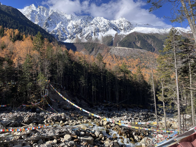 逃離浪浪山—拉薩至成都