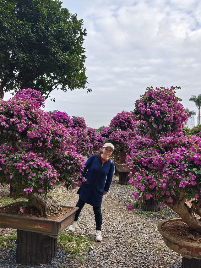 深圳蓮花山公園親子遊體驗之旅