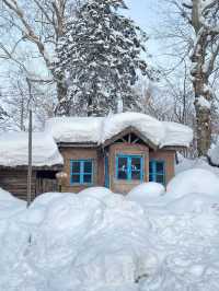 哈爾濱-雪鄉滑雪之旅超實用攻略 不看後悔