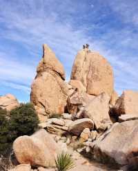 約書亞樹國家公園 | Joshua tree