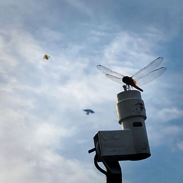 Views from the Marina Barrage…