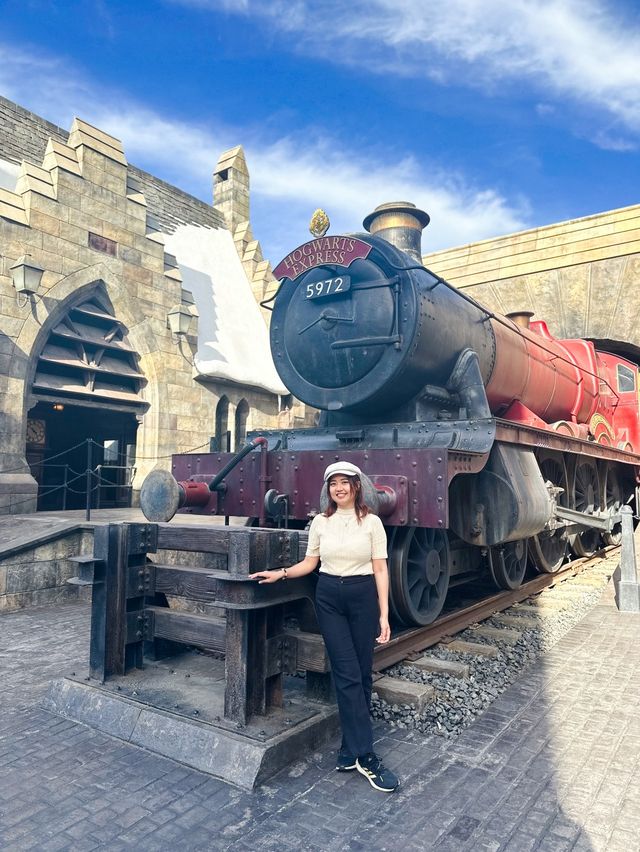 The Wizarding World of Harry Potter