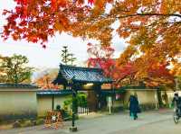 Japan’s most sacred mountain 🇯🇵