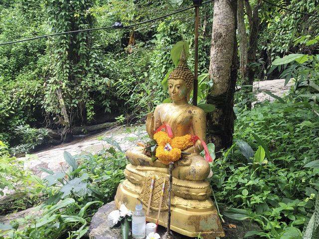 Doi Suthep Hiking Trail (Wat Pha Lat) 