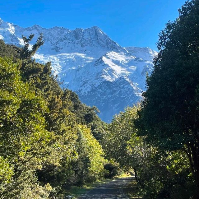 Mount Cook