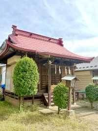 【埼玉県】豪華な彫刻の山車を所有