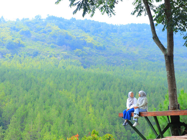 Into the wood in Bandung