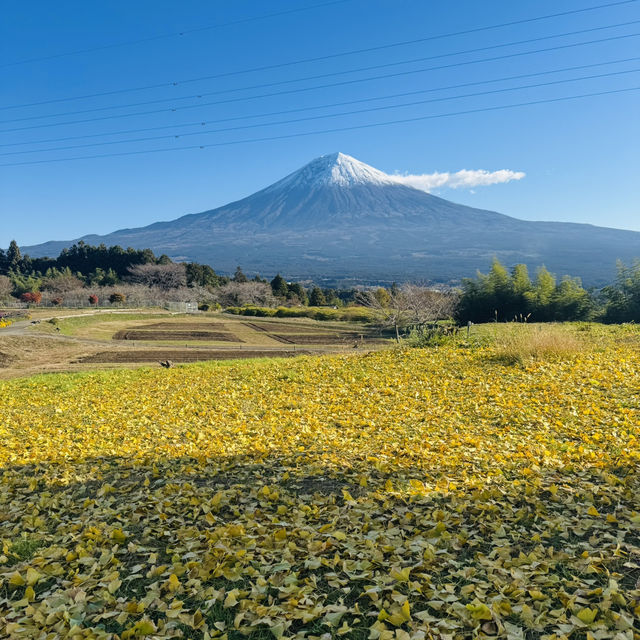 富士宮市の白糸自然公園