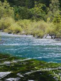 Jiuzhaigou 🏞️ My Favourite Destination in 2024: Lakes and Mountain Scenes