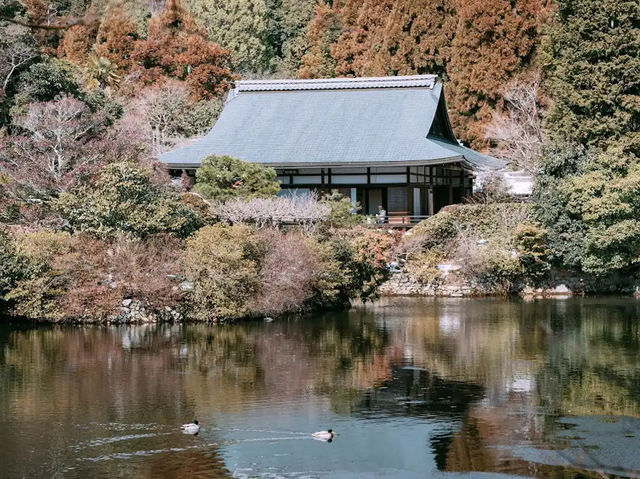  京都龍安寺：禪意的極致與石庭之美