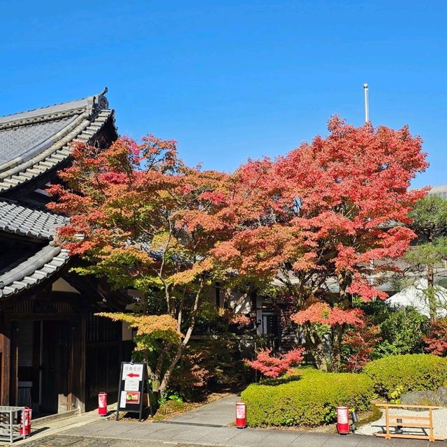 京都賞楓〔雪舟寺〕與〔天得院〕的靜謐之美