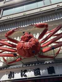 Dotonbori: Osaka’s Electric Playground