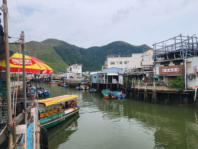 The Fu Shan viewing point 