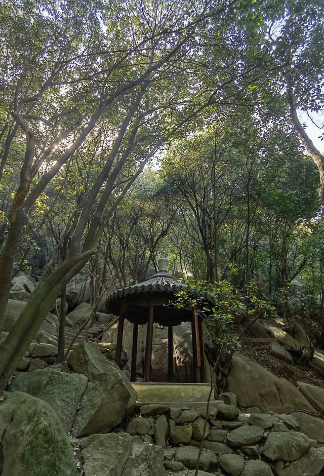 進門就是山的花山景區