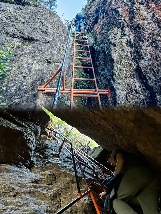 真的在福建後悔沒早點來。