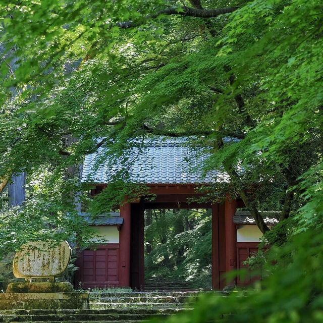 日本遊｜我發誓‼️是別家玩不到的小眾關西線|||