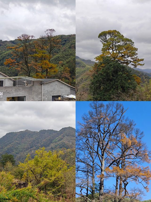 上海出發自駕四明山，一日遊攻略