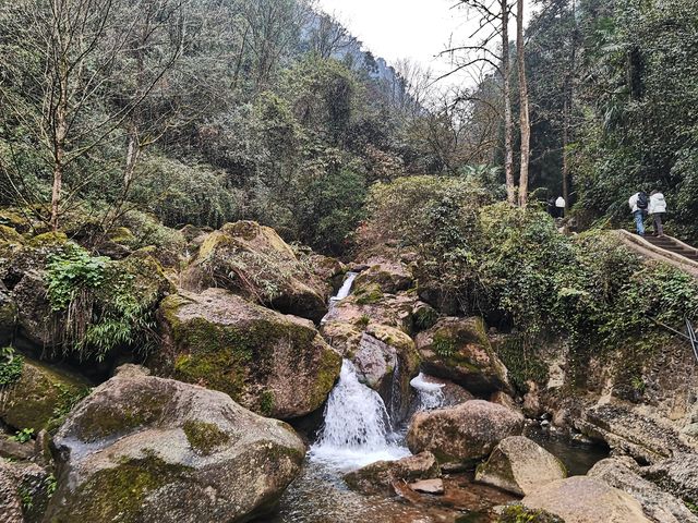 成都——都江堰青城山（後山）