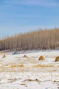 就為這一刻的雪景，我才跨越3000公里來東北