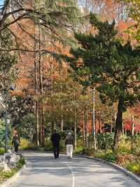 書院氛圍濃厚的和平公園！