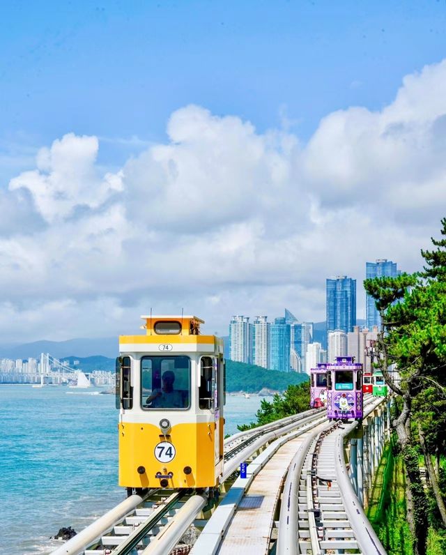 邂逅釜山，海濱之都的浪漫之旅