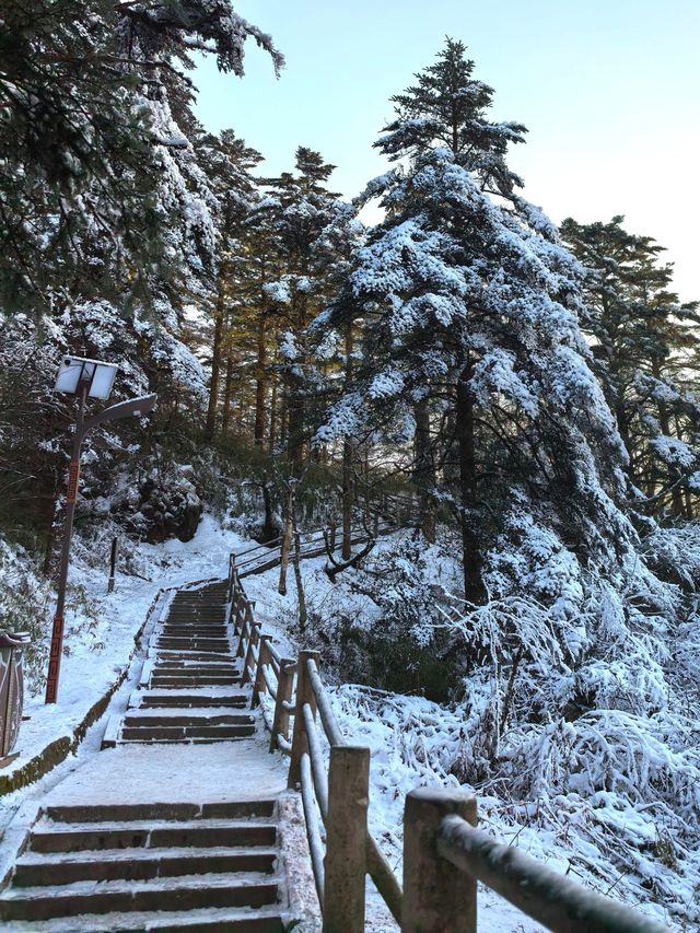 帶孩子遊成都-峨眉山-樂山 探秘熊貓基地的樂趣