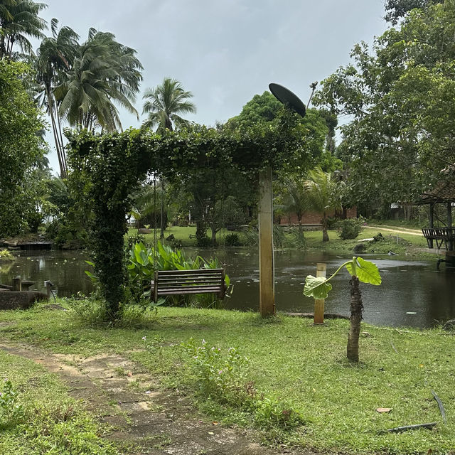 Tanjung Inn-Best Place to Stay In Cherating