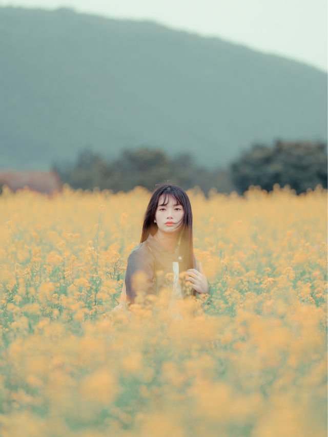 🇰🇷濟州島｜韓劇般的場景「城山油菜花田」