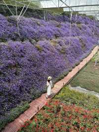 Flora park 🌸 A place bloomed with flowers 